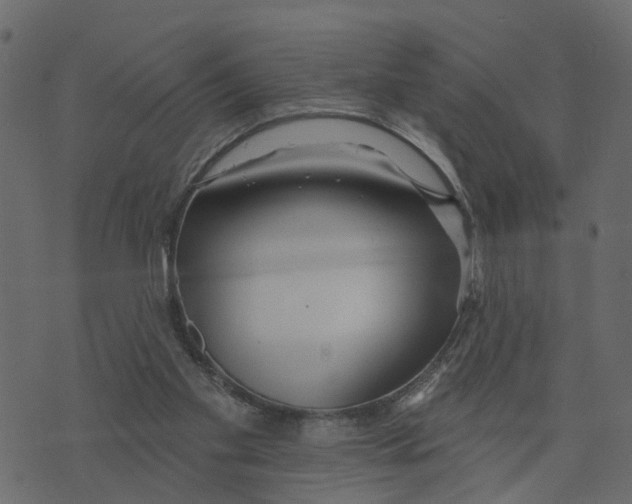 X0000073420109200608251600