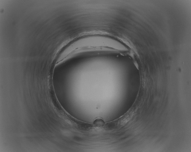 X0000073420111200608251600