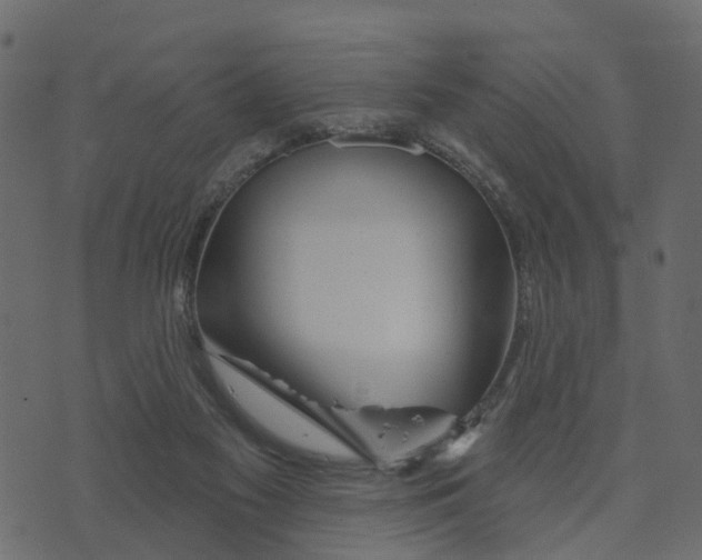 X0000073420117200608251600