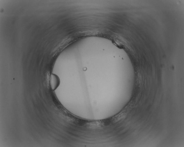 X0000073420118200608251600