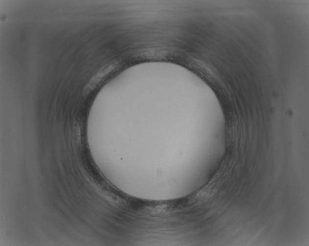 X0000073420120200608251600