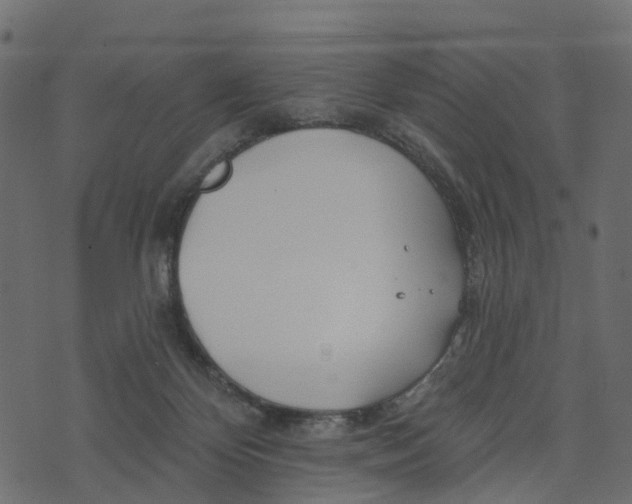 X0000073420124200608251600