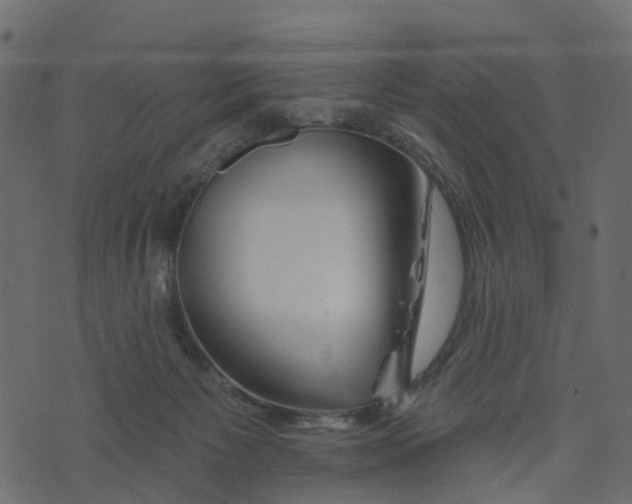 X0000073420125200608251600