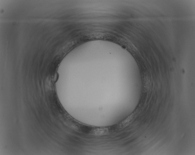 X0000073420126200608251600