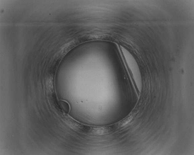 X0000073420127200608251600