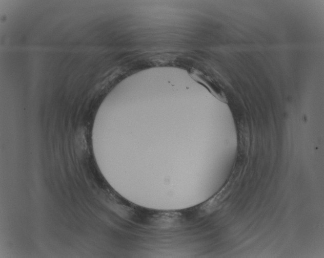 X0000073420128200608251600