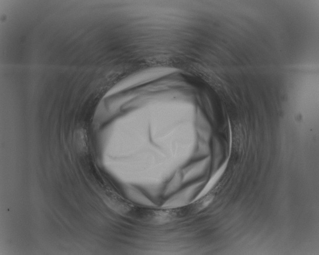 X0000073420130200608251600