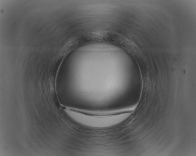 X0000073420131200608251600