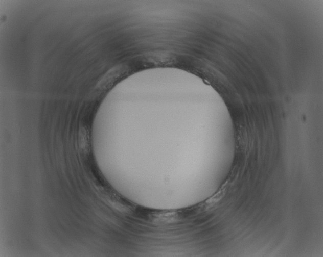 X0000073420132200608251600