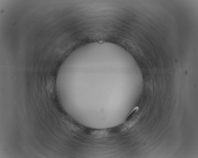 X0000073420133200608251600