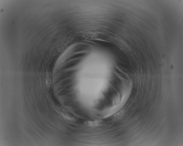 X0000073420134200608251559