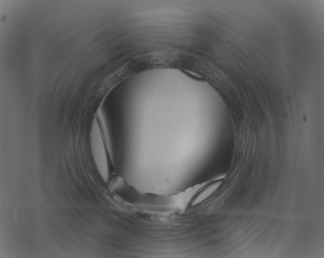 X0000073420137200608251559