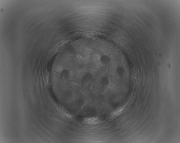 X0000073420139200608251559