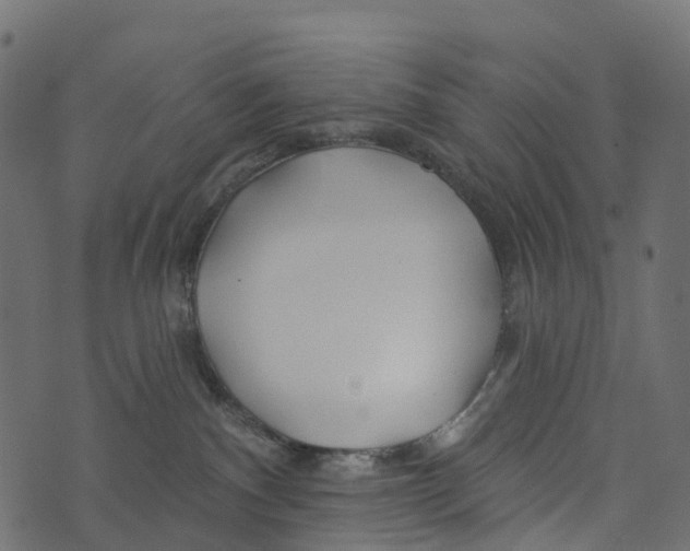 X0000073420140200608251559