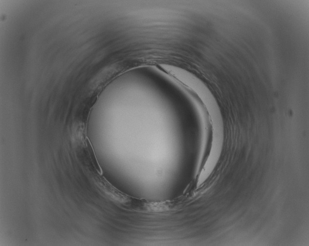 X0000073420141200608251559