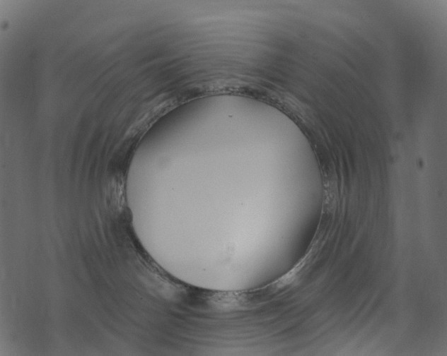 X0000073420142200608251559