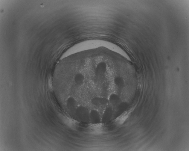 X0000073420143200608251559