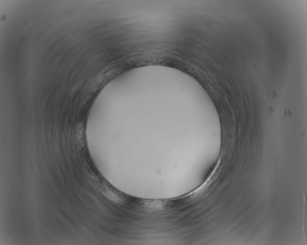 X0000073420144200608251559