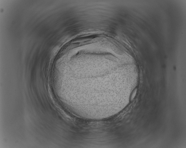 X0000073420145200608251559