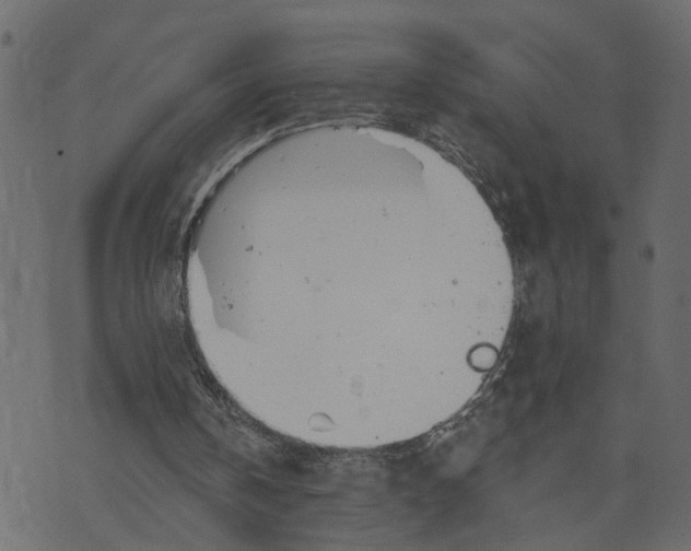 X0000073420146200608251559