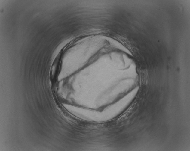 X0000073420147200608251559