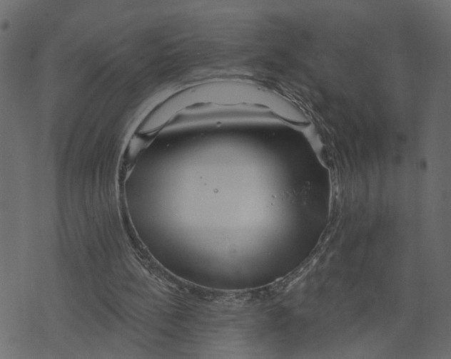 X0000073420148200608251559