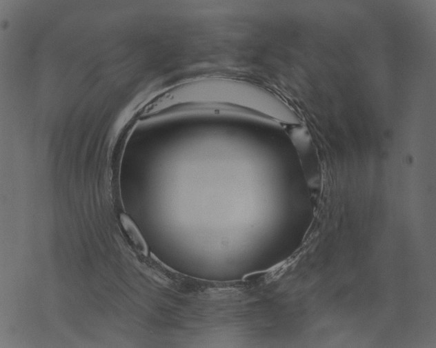 X0000073420150200608251559