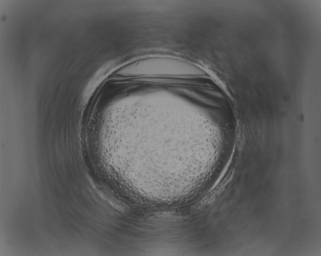 X0000073420151200608251559