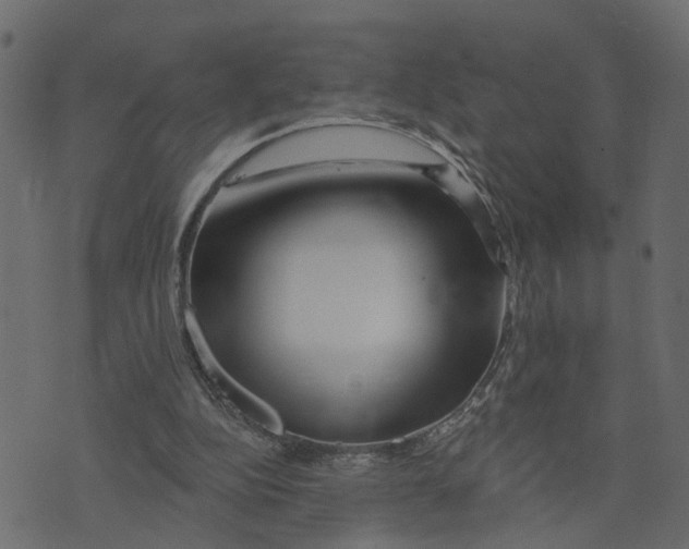 X0000073420152200608251559