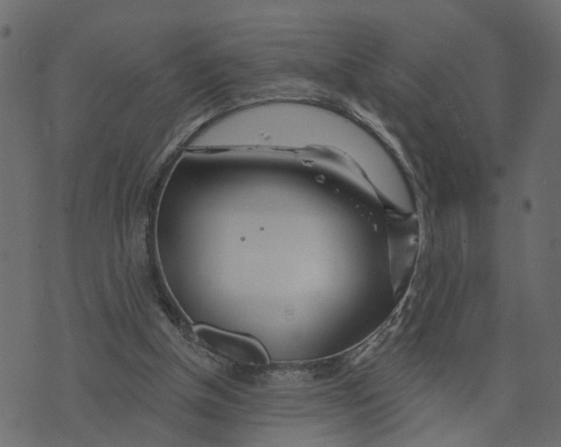 X0000073420154200608251559