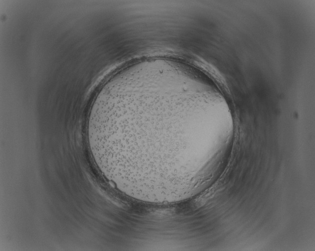 X0000073420155200608251559