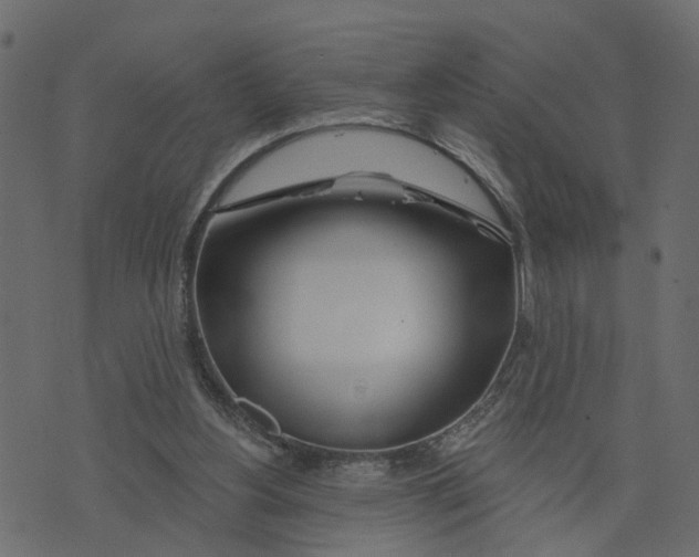 X0000073420156200608251559