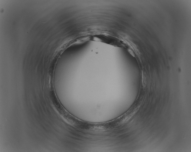 X0000073420157200608251559