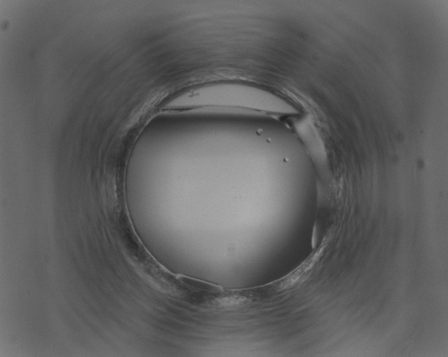 X0000073420158200608251559