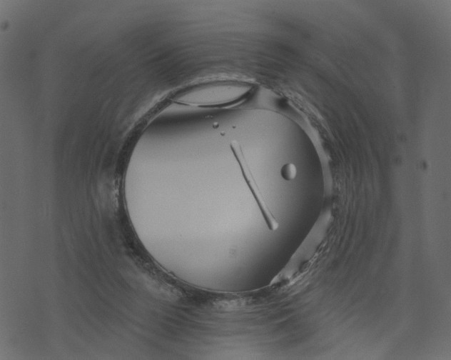 X0000073420160200608251559