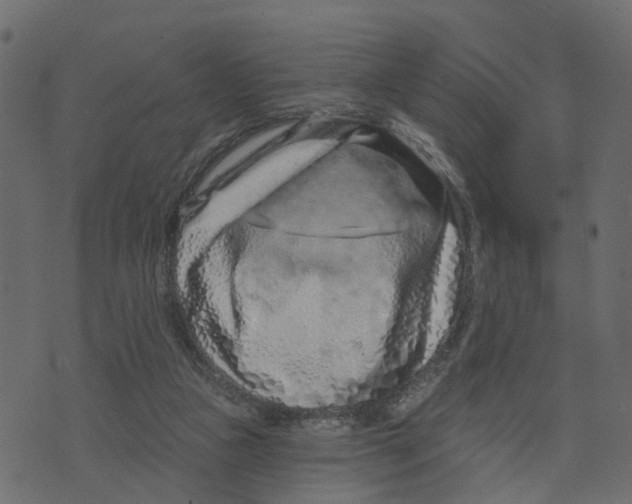 X0000073420161200608251559