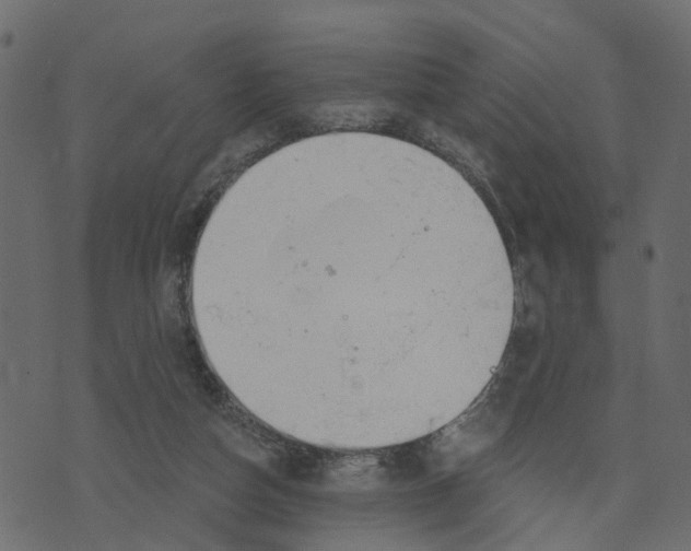 X0000073420162200608251559