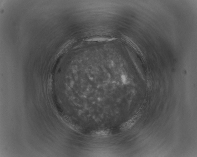 X0000073420163200608251559