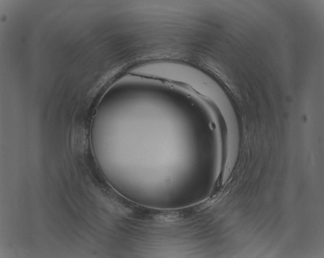 X0000073420164200608251559