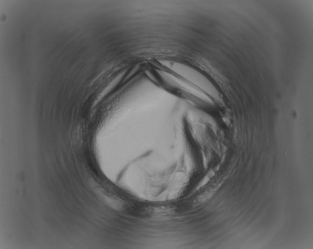 X0000073420165200608251559