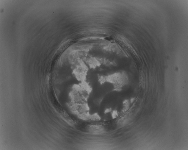 X0000073420167200608251559