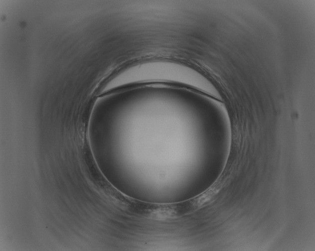 X0000073420168200608251559