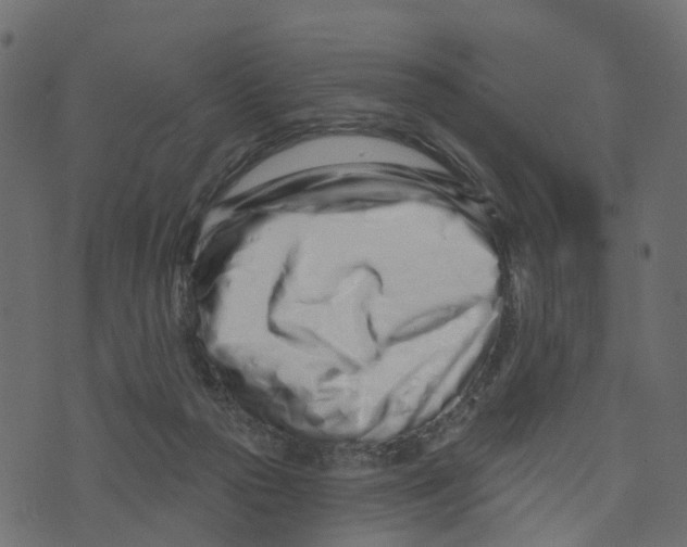 X0000073420169200608251559