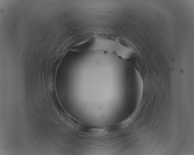 X0000073420170200608251559