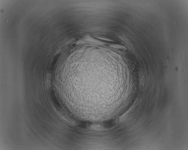 X0000073420171200608251559