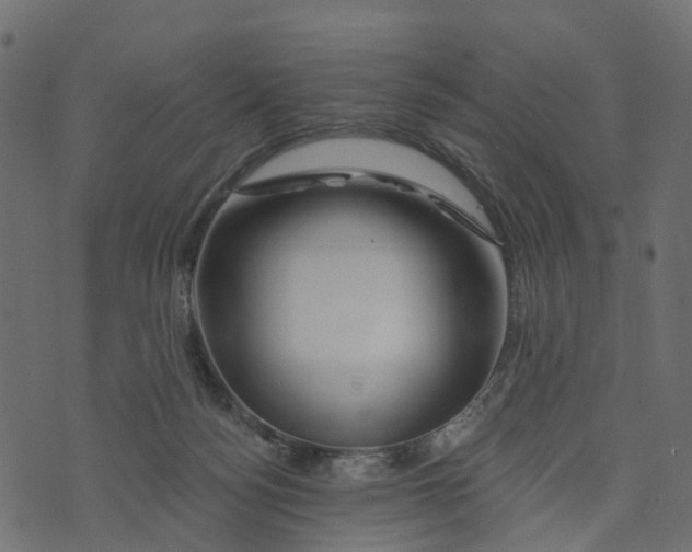 X0000073420172200608251559