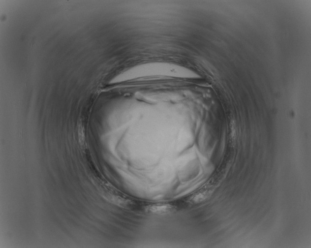 X0000073420173200608251559