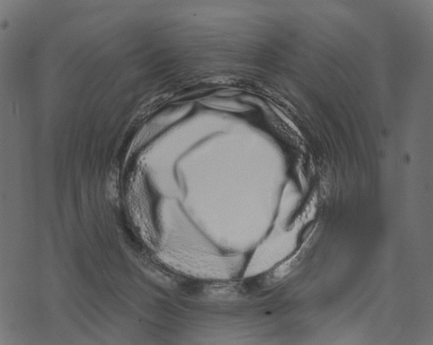 X0000073420175200608251559