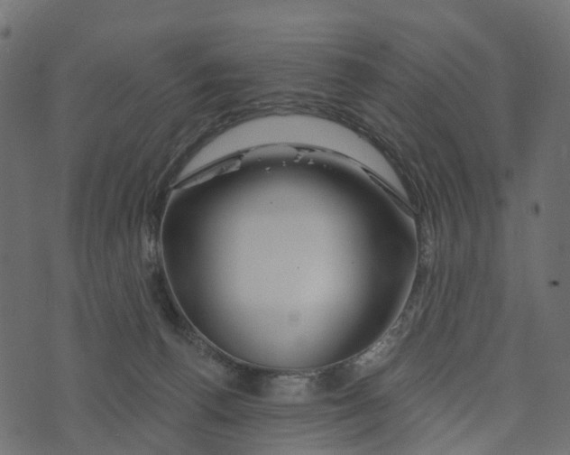 X0000073420176200608251559