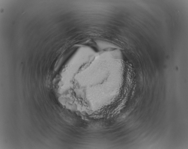 X0000073420177200608251559